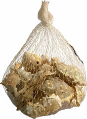Sea Shells Large Net Pouch - Off White - China