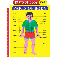 Kids Learning Educational Foam Wall Parts of Body