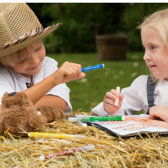 STABILO Extra-thick Fibre-Tip Pen Trio Jumbo Pack of 12