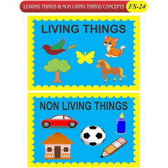 Kids Learning Educational Foam Wall Living Things Concept