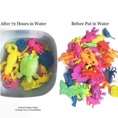 Pack of 30 Animal Shaped Orbeez Animal Water Growing Magic Expandable Animals Hydrogen Animals