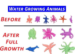 Pack of 30 Animal Shaped Orbeez Animal Water Growing Magic Expandable Animals Hydrogen Animals