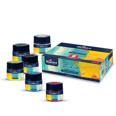 Bluebird Acrylic Paint Colors Student DIY Painting Pack Non-Toxic Art & Craft for Artists, Kids, Adults & Hobby Painters Set of 6 x 25 ml