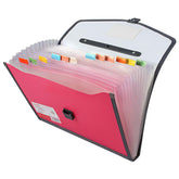 Tranbo Plastic Expanding Bag File Folder With 13 Section Pockets - Multicolor