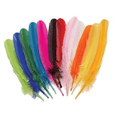 50 Craft Feathers For Creativity Feathers