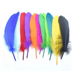 50 Craft Feathers For Creativity Feathers