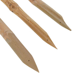 Set Of 3 Bamboo Reed Calligraphy Pens