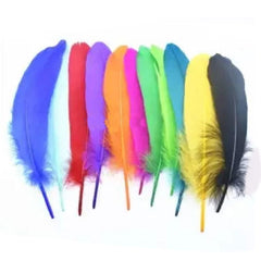50 Multicolor Craft Feathers For Creativity Feathers