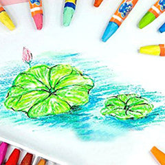 Pack Of 12 - Color Oil Pastels Crayons