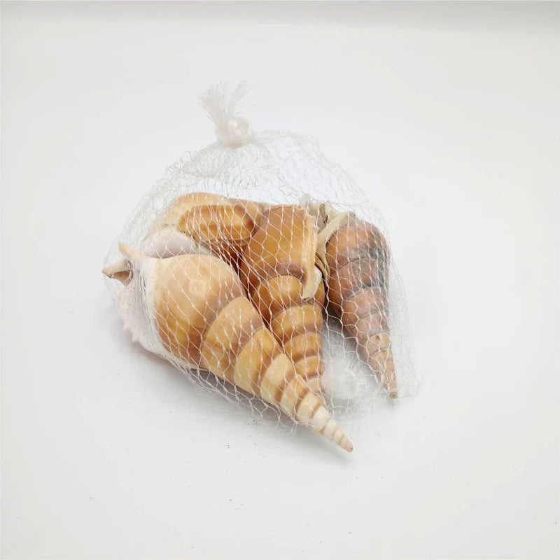 Sea Shells Large Net Pouch - Off White - China