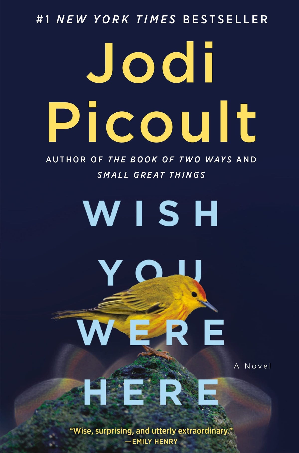 Wish You Were Here By Jodi Picoult Best Selling Novel KS