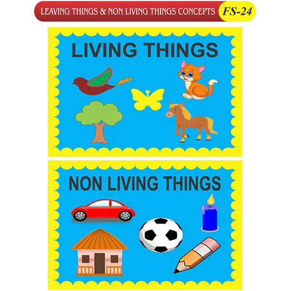 Kids Learning Educational Foam Wall Living Things Concept
