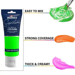 Bluebird Signature Acrylic Colours – 75 ml – Set of 6 NEON