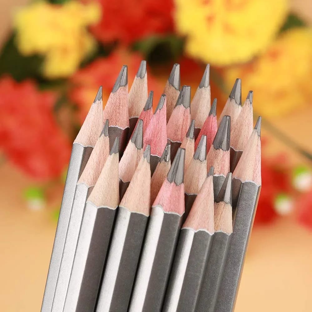 24Pcs Worison Sketching Pencil Set