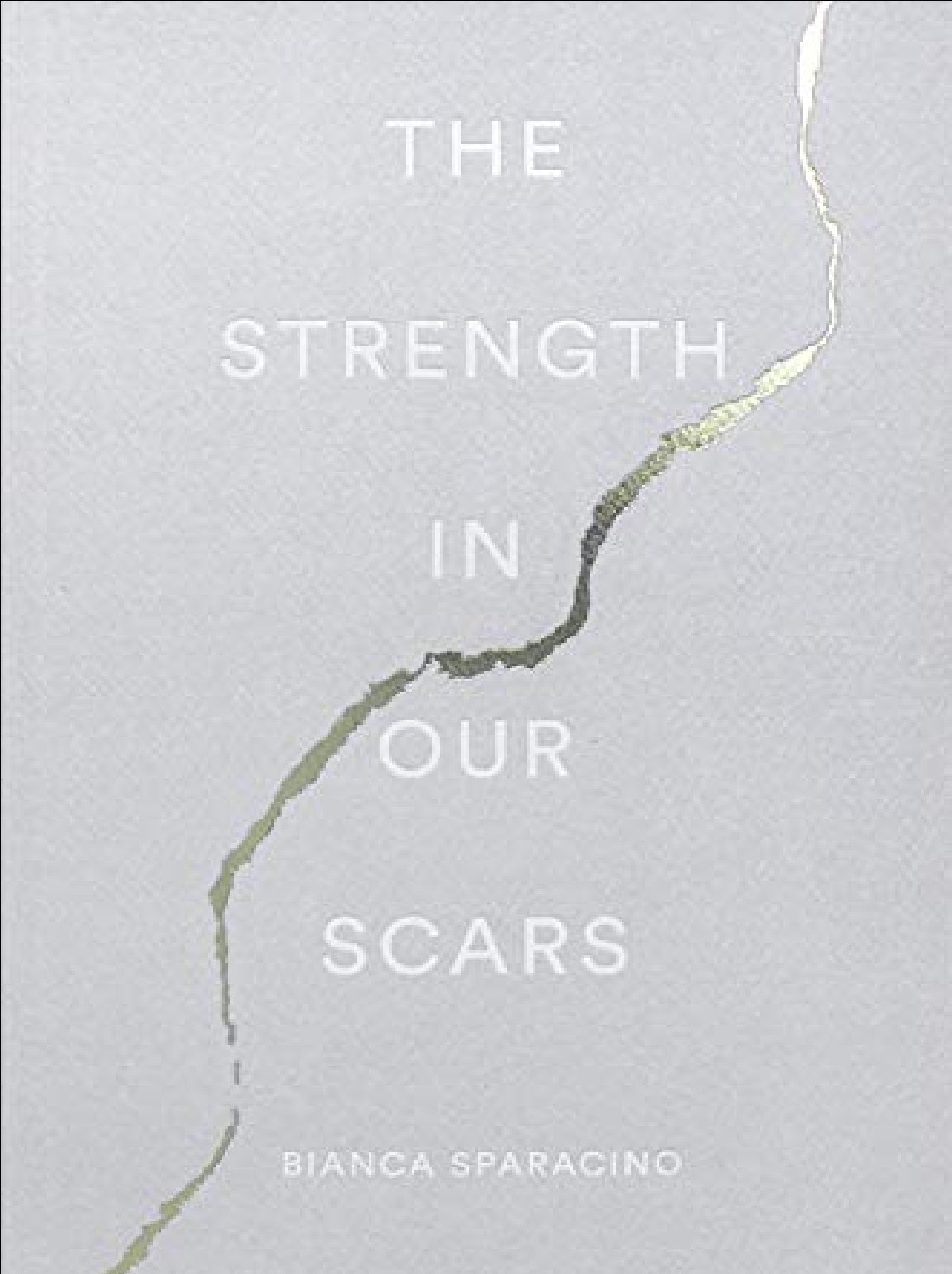 The Strength In Our Scars A Novel By Bianca Sparacino Best Novel KS