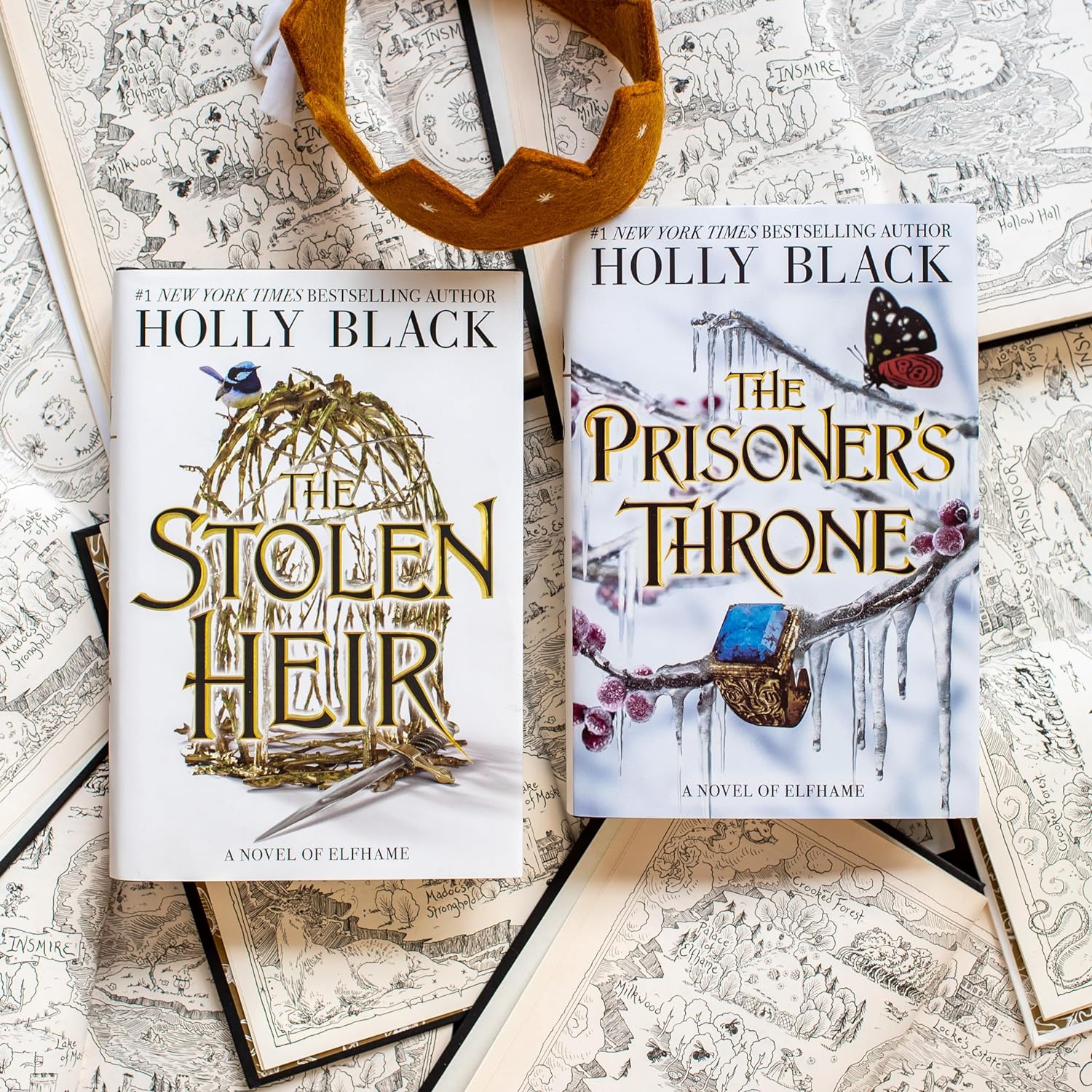 Set of 2 The Stolen Heir / The prisoner's throne book by holly black