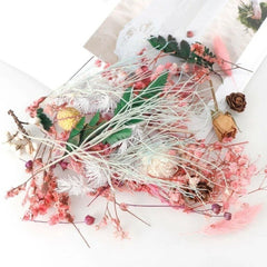 1 Box Mix Beautiful Real Dried Natural Flowers for Resin Jewelry Craft Making