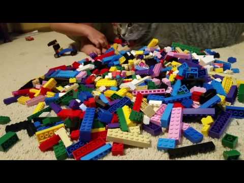 1000 Pieces Building Blocks