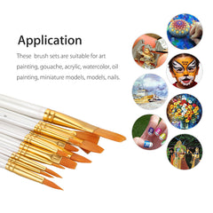 12Pcs Multi Shapes Artist Paint Brush Set