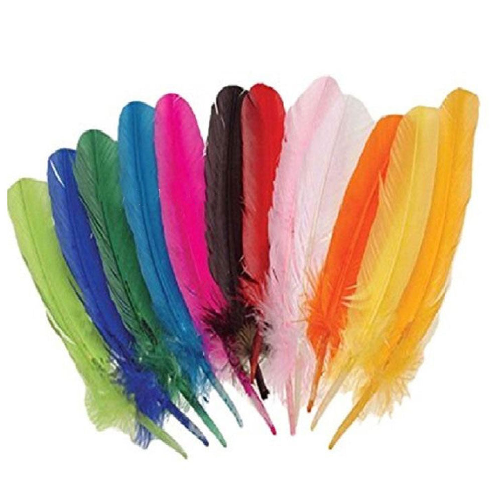50 Multicolor Craft Feathers For Creativity Feathers