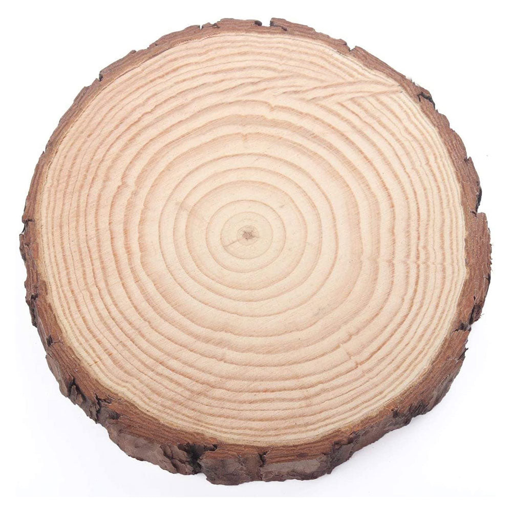 3pc (6inch dia) Natural Wood Slices, Round Pinewood Slabs