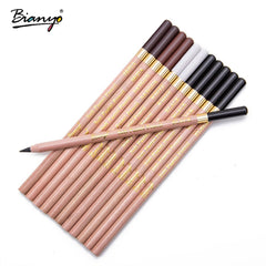 Coloured Charcoal Pencils / Artist Soft Pastel Pencils / Wooden Non Toxic Pencil For Sketching Drawing - 12 Pcs